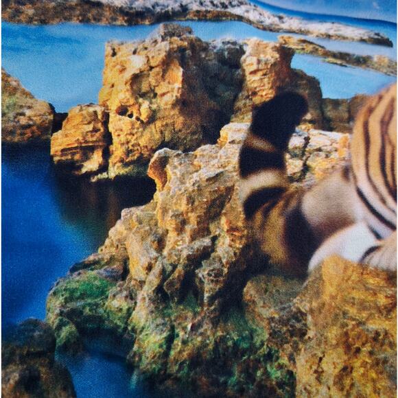 Royal Linen Source Quality Homeware Pillow Sham with Tiger on Cliff 21 x 29.5 - Picture 4 of 10